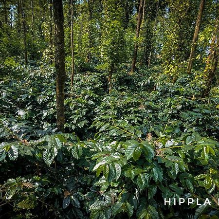 Hippla Homestay Aldur Exterior photo