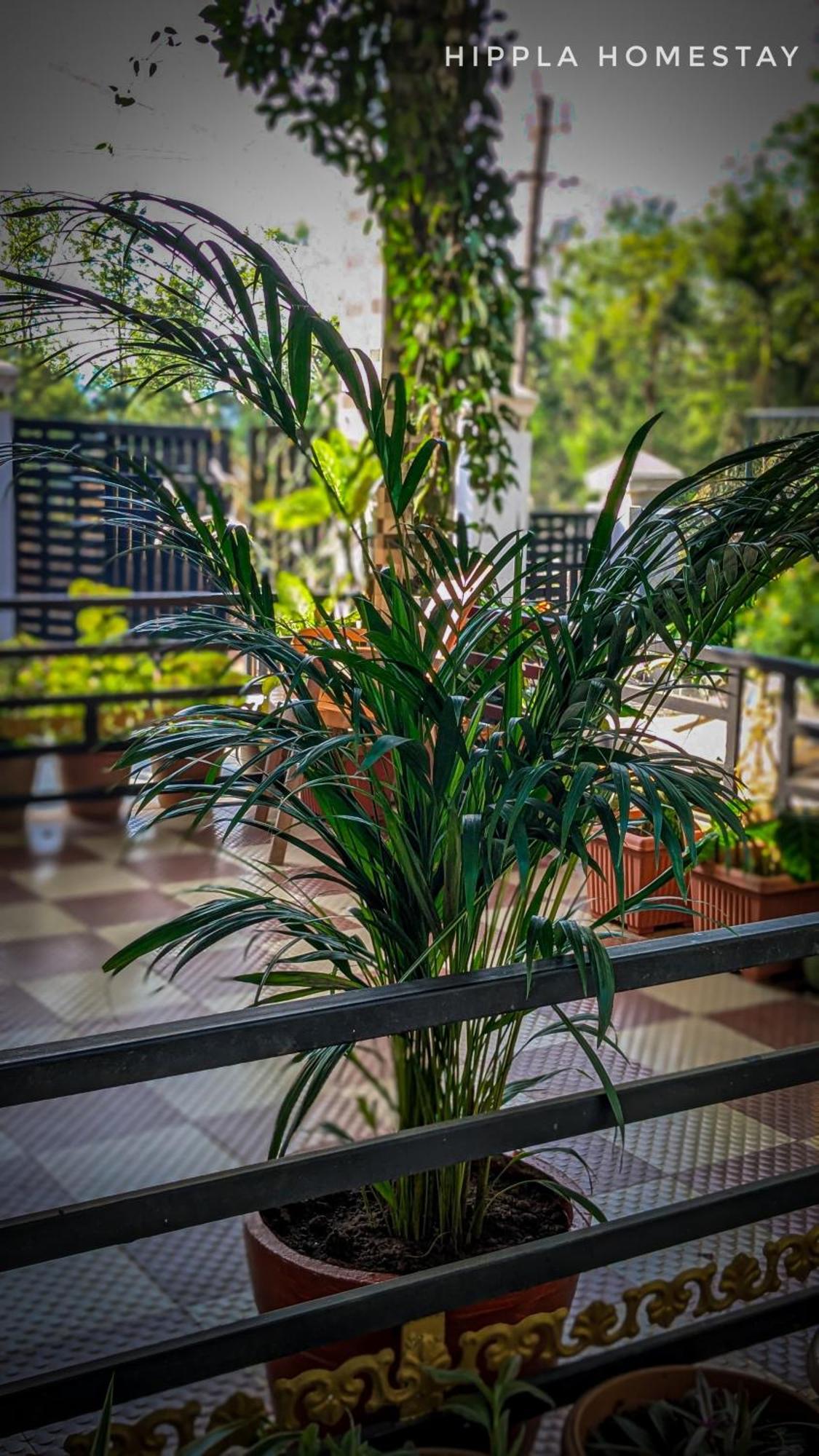 Hippla Homestay Aldur Exterior photo